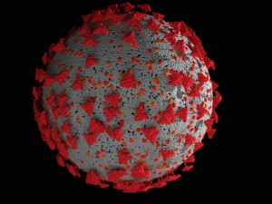 coronavirus corona virus covid 19 Model 3D