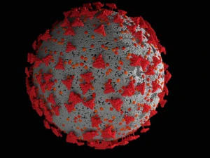 coronavirus corona virus covid 19 3D Model