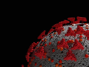 coronavirus corona virus covid 19 Model 3D