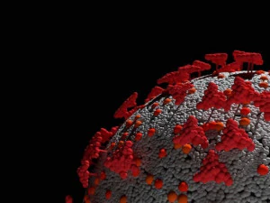 coronavirus corona virus covid 19 3D Model