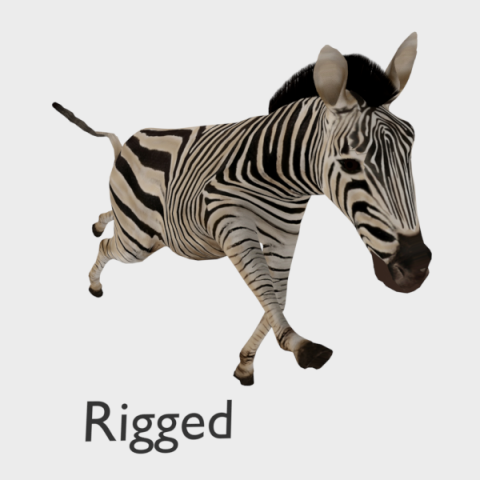 zebra low poly rigged animal mammal Modelo 3D .c4d .max .obj .3ds .fbx .stl .blend 