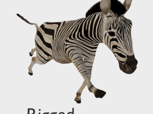 zebra low poly rigged animal mammal 3D Model