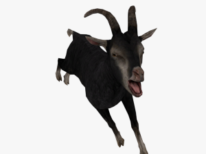 low poly rigged back goat sheep Model 3D