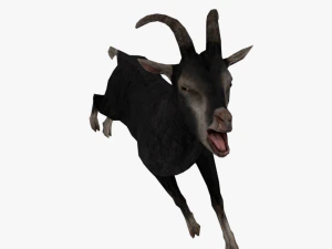 low poly rigged back goat sheep 3D Model
