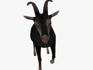 low poly rigged back goat sheep 3D Model