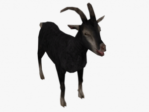 low poly rigged back goat sheep Model 3D