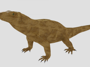 komodo dragon low poly reptile 3D मॉडल