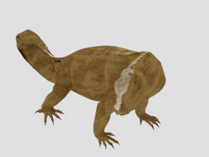 komodo dragon low poly reptile 3D मॉडल
