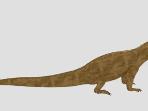 komodo dragon low poly reptile 3D Model