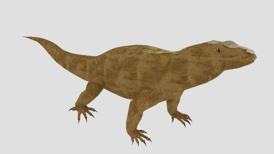 komodo dragon low poly reptile 3D Model .c4d .max .obj .3ds .fbx .stl .blend 