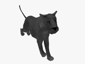 black panther tigra panthera low poly rigged Model 3D