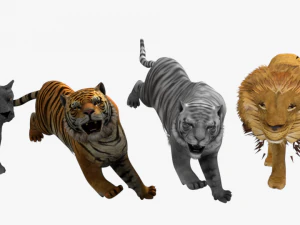low poly rigged collection tiger white tiger panther black panther tigra pantera lion predator pack 3D Model