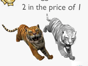 low poly rigged collection tiger white tiger panther black panther tigra pantera lion predator pack 3D Model