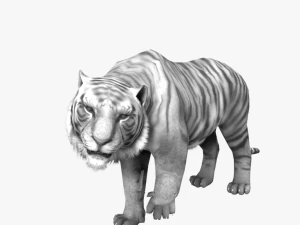 low poly rigged collection tiger white tiger panther black panther tigra pantera lion predator pack 3D Model