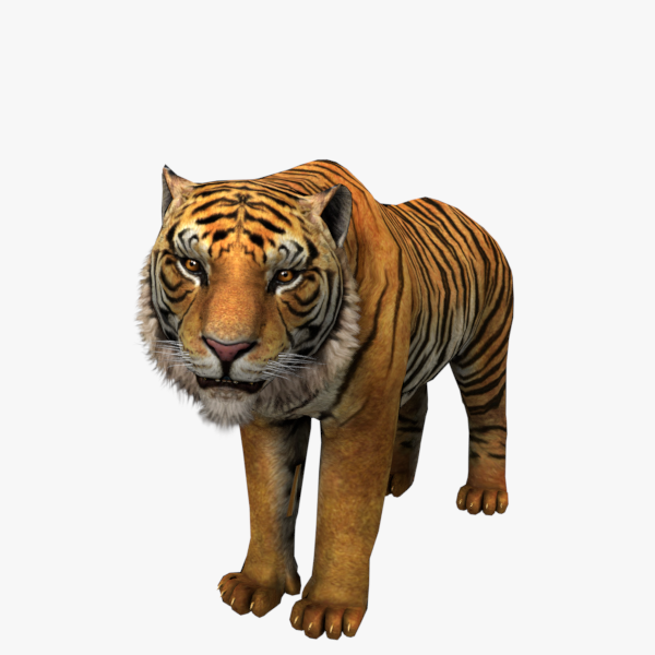 Premium Photo  Tiger closeup predator 3d rendering raster