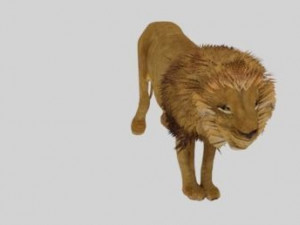 low poly rigged collection tiger white tiger panther black panther tigra pantera lion predator pack 3D Model