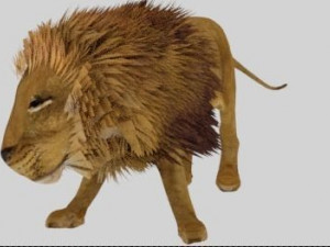 low poly rigged collection tiger white tiger panther black panther tigra pantera lion predator pack 3D Model