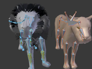 rigged lion lioness family low poly couples male lion female lion 3D Model