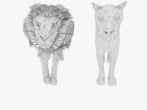 rigged lion lioness family low poly couples male lion female lion 3Dモデル