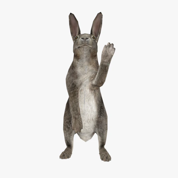 bunny rabbit low poly rigged game ready 3D Model .c4d .max .obj .3ds .fbx .stl .blend 