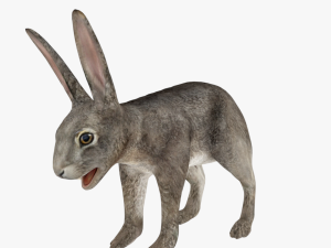 bunny rabbit low poly rigged game ready Model 3D