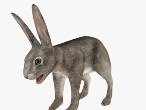 bunny rabbit low poly rigged game ready 3D Model