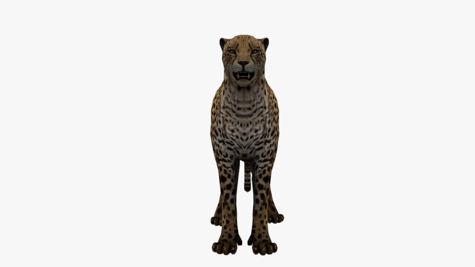 how do i export rigging with a .obj file form cheetah 3d
