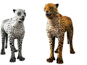 rigged low poly leopard cheetah snow leopard white leopard animal 3D Model
