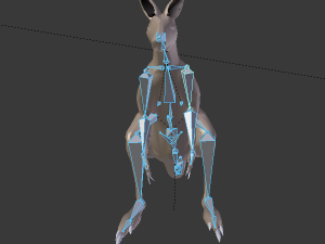 rigged low poly kangaroo with forest hdri 3D Модель