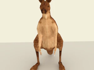 rigged low poly kangaroo with forest hdri 3D Model
