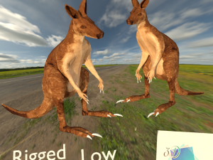 rigged low poly kangaroo with forest hdri 3D Model