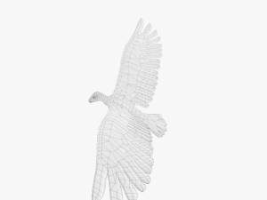 game ready rigged vulture condor 3D Модель