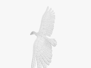 game ready rigged vulture condor 3D Model