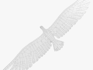 game ready rigged vulture condor 3D Модель