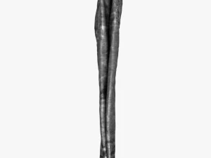 jeans 3D Model