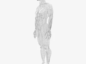 human anatomy muscle body low poly complete 3D Model