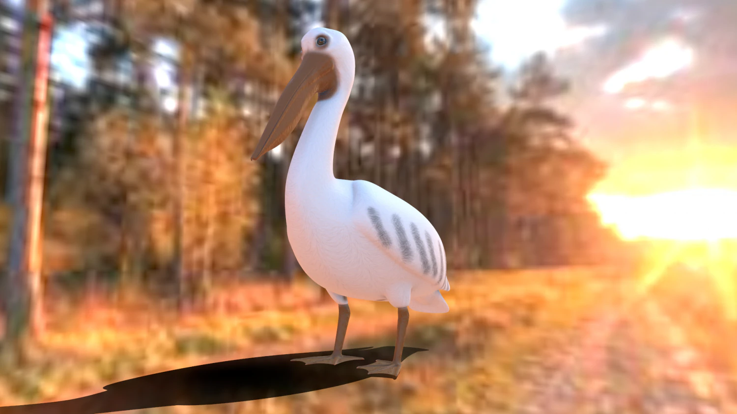 realistic pelican 3D Model .c4d .max .obj .3ds .fbx .stl .blend 