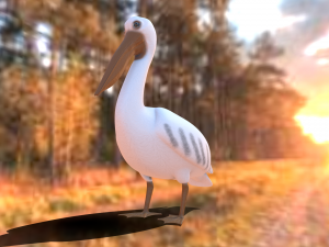 realistic pelican 3D Модель