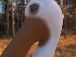 realistic pelican Modelo 3D
