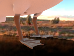 realistic pelican Modelo 3D