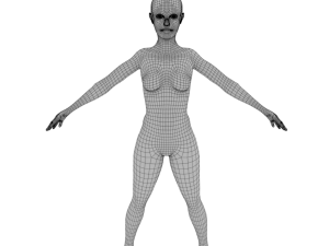female anatomy human 3D Модель
