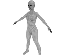 female anatomy human 3D Model