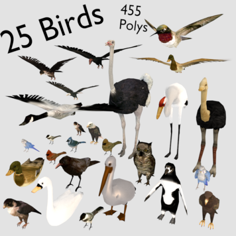 25 low poly bird collection game ready Model 3D .c4d .max .obj .3ds .fbx .stl .blend 