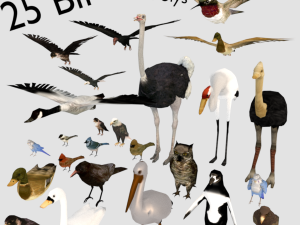 25 low poly bird collection game ready 3D Model