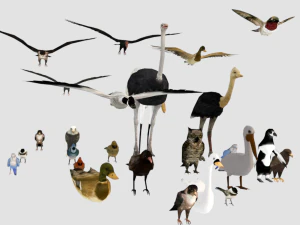 25 low poly bird collection game ready 3D Model