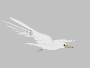 25 low poly bird collection game ready 3D Model