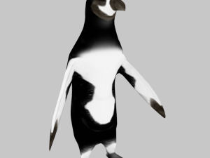 25 low poly bird collection game ready Model 3D
