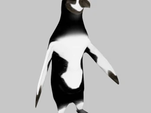25 low poly bird collection game ready 3D Model