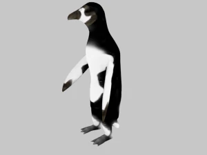 25 low poly bird collection game ready 3D Model