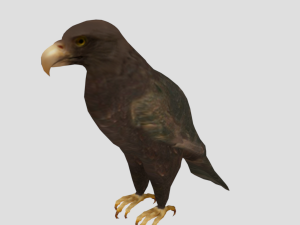 25 low poly bird collection game ready Model 3D